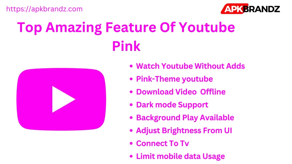 Top Amazing Feature Of Youtube Pink  Image